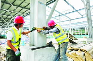 白云農創共享農副產品批發中心預計年底投用，建筑施工進展順利